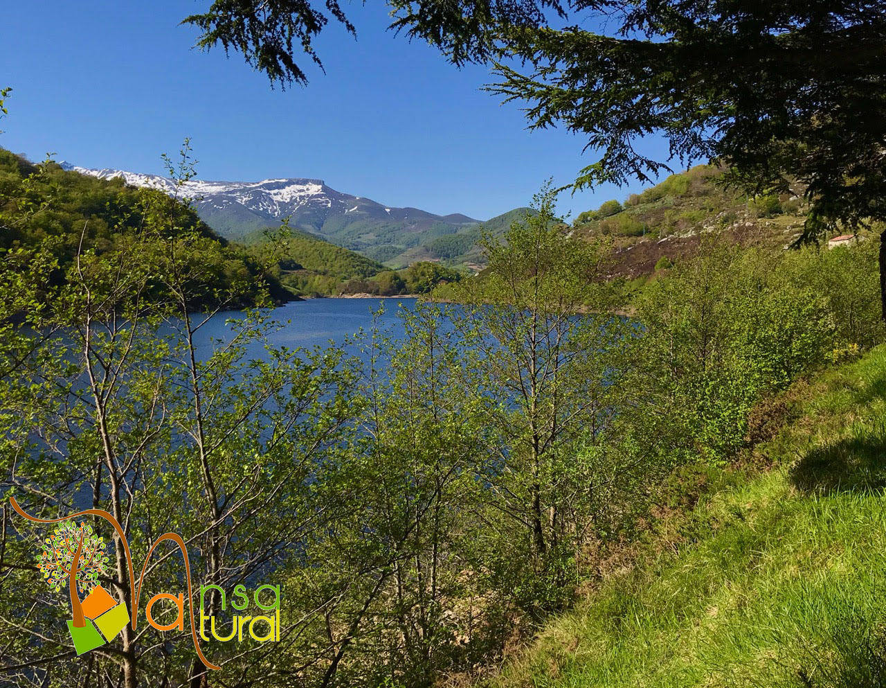 Ruta gratuita por el valle de Polaciones para los gremios que han estado en primera línea: profesionales sanitarios, las fuerzas de seguridad, el personal de emergencias, limpieza, docencia y transporte, distribución y venta de bienes esenciales