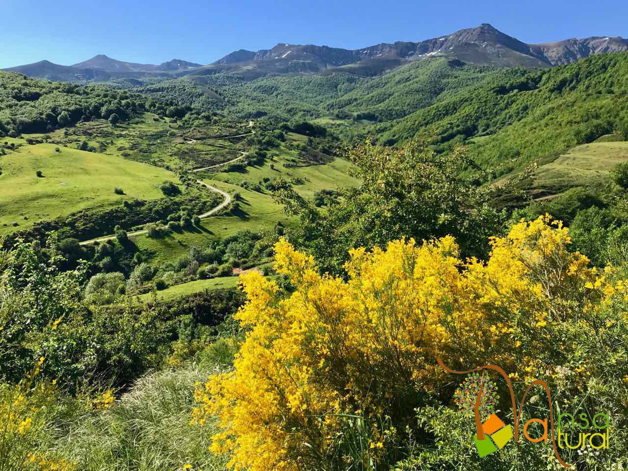 Ruta gratuita por el valle de Polaciones para los gremios que han estado en primera línea: profesionales sanitarios, las fuerzas de seguridad, el personal de emergencias, limpieza, docencia y transporte, distribución y venta de bienes esenciales