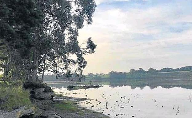 Marismas del Conde en Marina de Cudeyo
