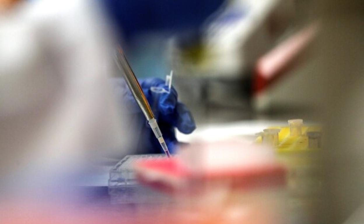 Detalle del trabajo de una científica