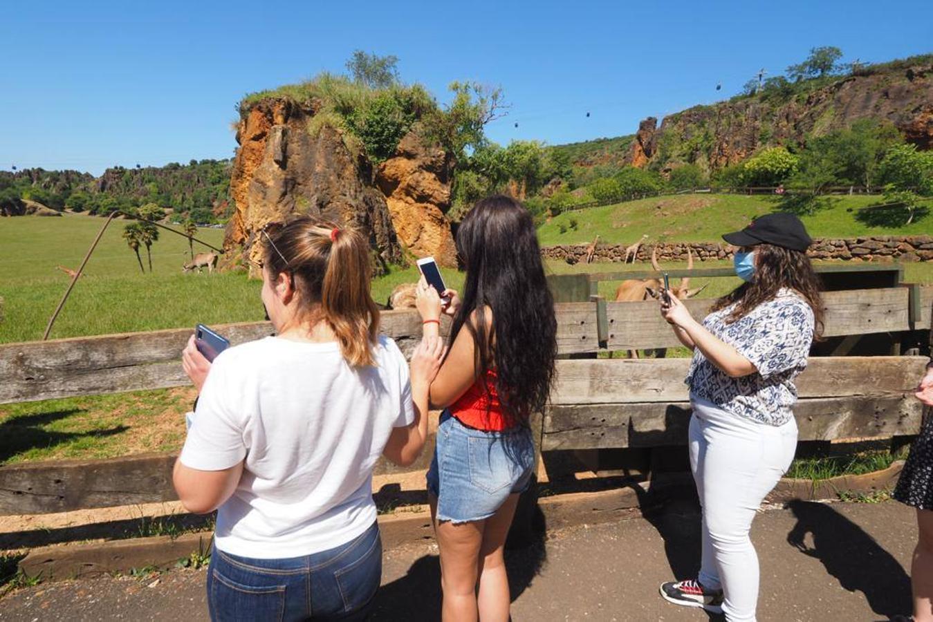 Numeroso público se acercó este sábado hasta el Parque de la Naturaleza de Cabárceno en el primer fin de semana fuera del estado de alarma.