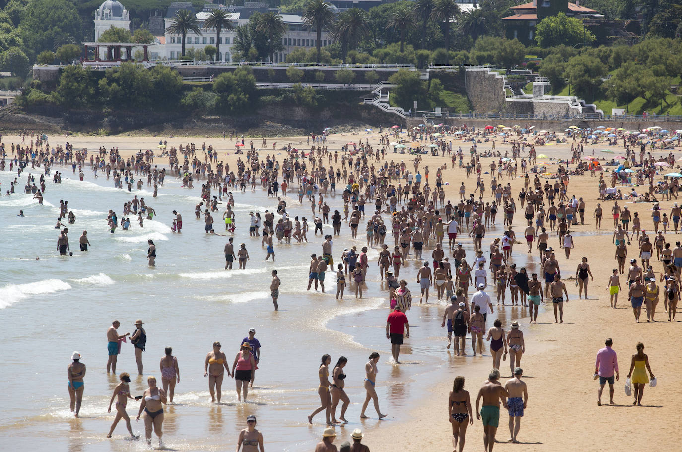 Fotos: Las playas de Santander, hasta la bandera