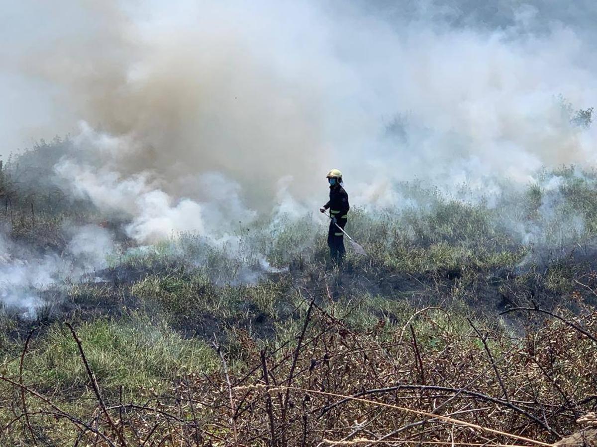 Una quema de rastrojos en Monte se avivó con el azote de fuertes rachas de nordeste, lo que obligó a intervenir a los bomberos de Santander, que sofocaron las llamas que causaron una gran humareda. No ha habido que lamentar daños materiales ni personas,