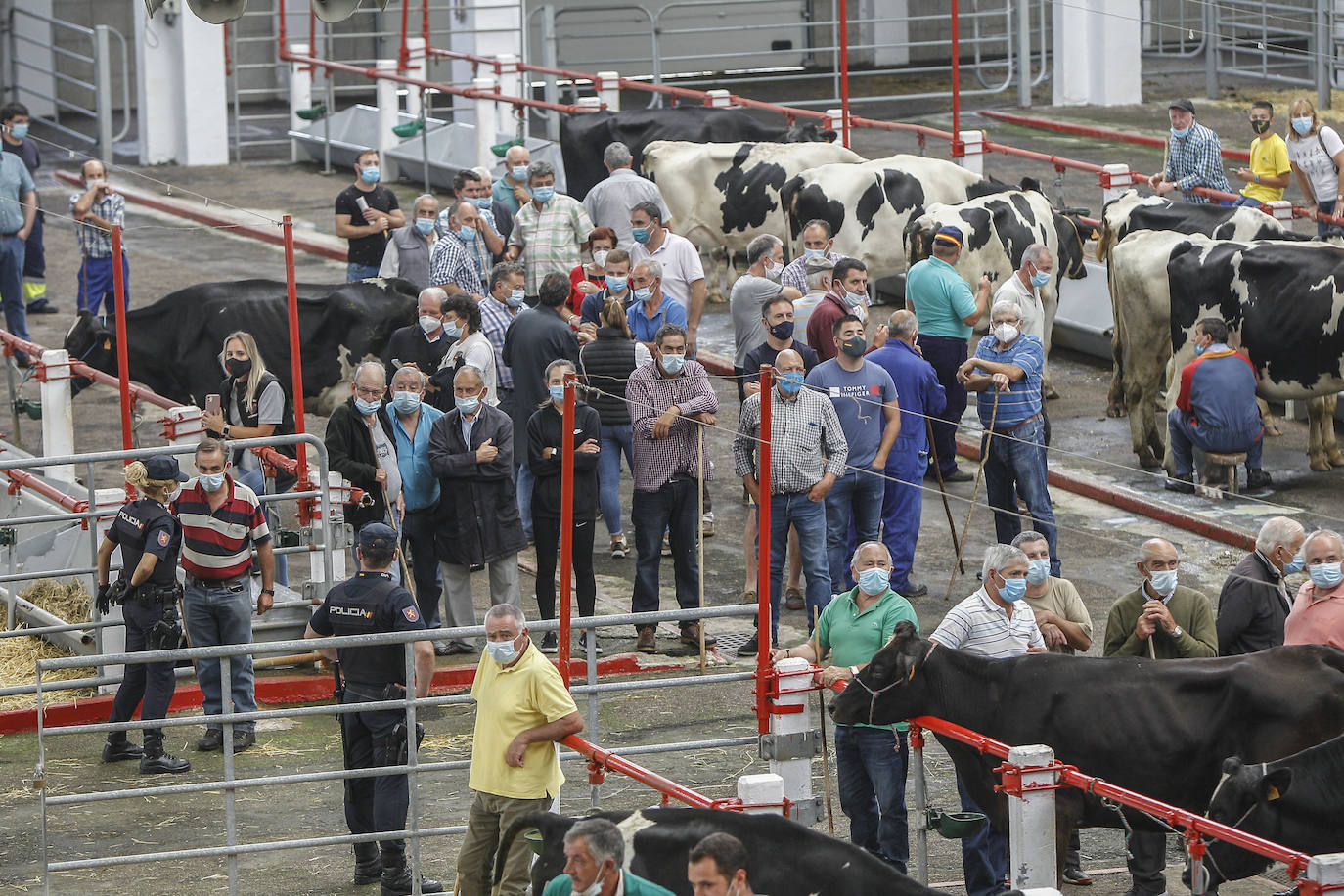 Fotos: Así ha sido la visita de los Reyes de España al Mercado de Ganados de Torrelavega