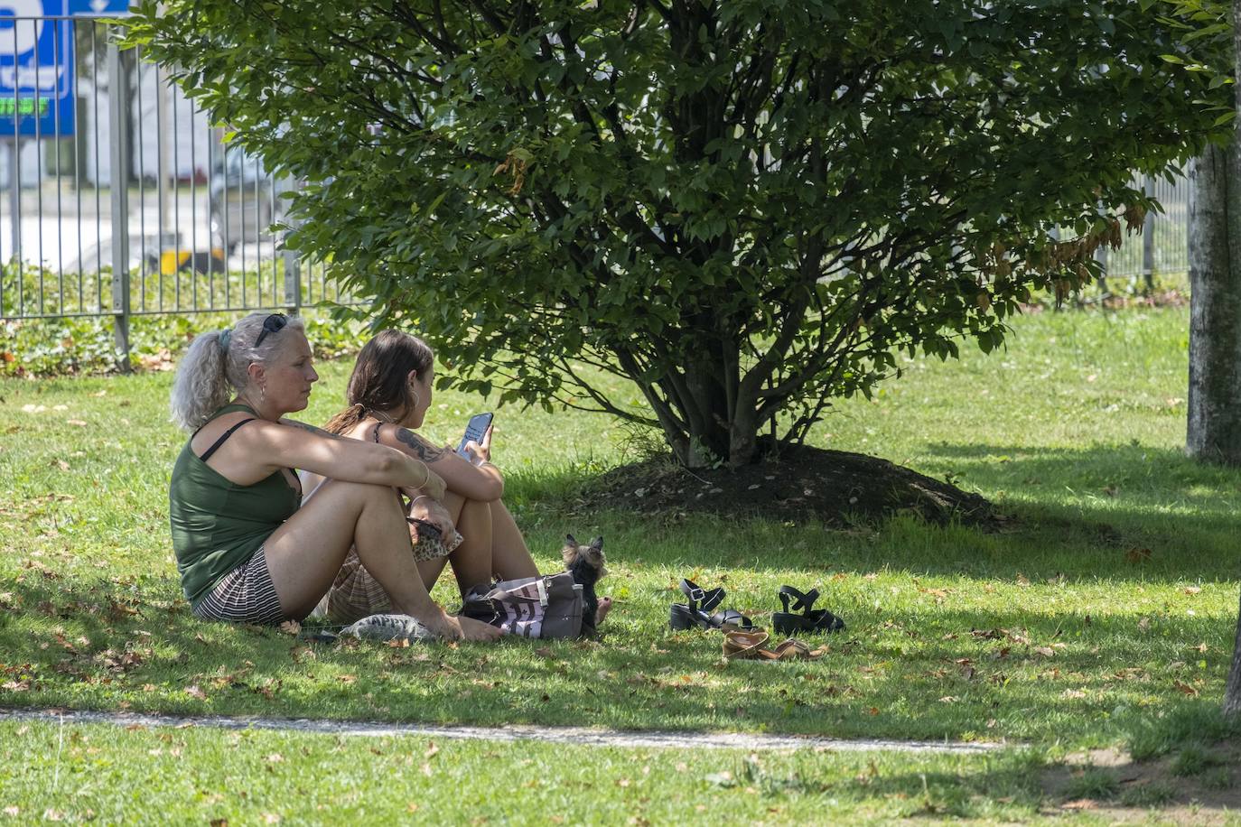 La capital alcanza su récord de calor de este verano con muchos arenales al máximo de ocupación, mientras el sur y el interior de la región sobrepasa los 30 grados 