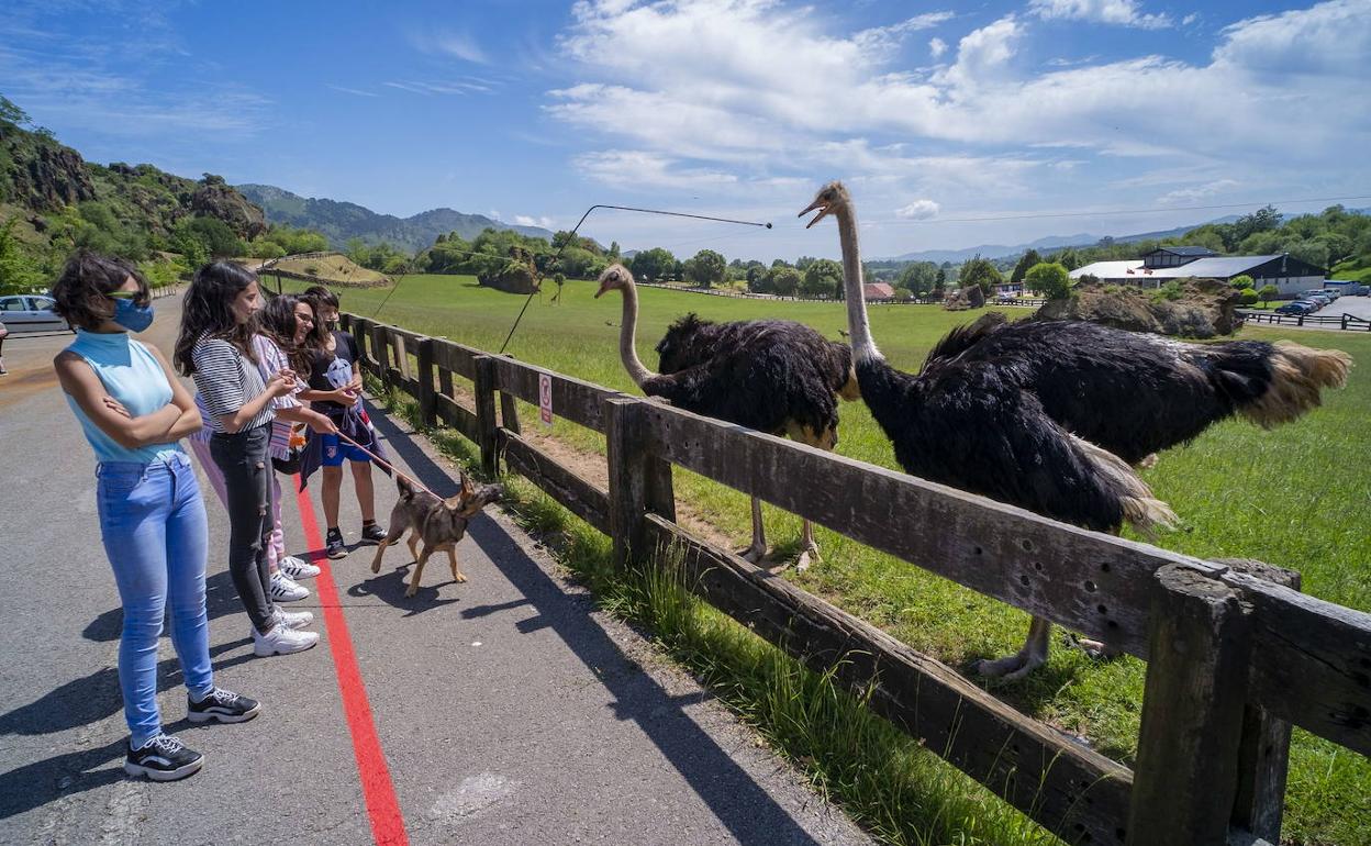 Los niños accederán gratis a Cabárceno, Fuente Dé y El Soplao hasta el 15 septiembre