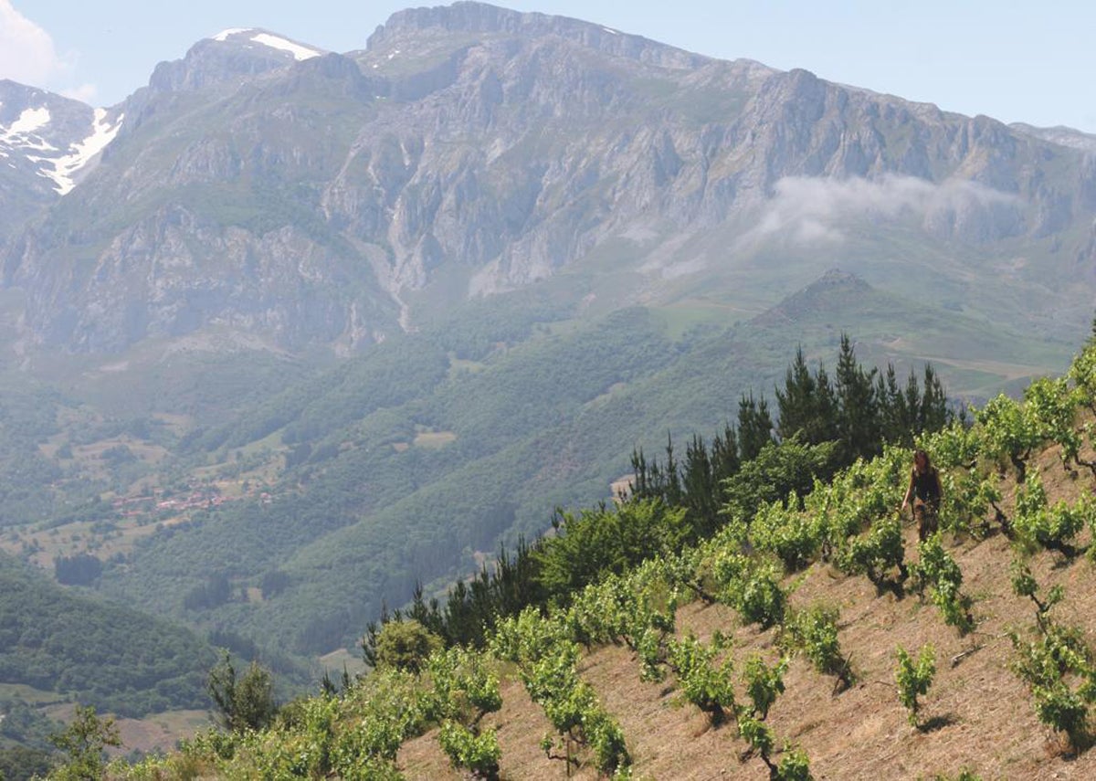 El valle de Liébana es el particular paraíso de la empresaria cántabra.