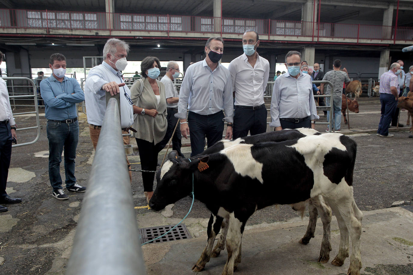 Fotos: La feria de nuevo en marcha