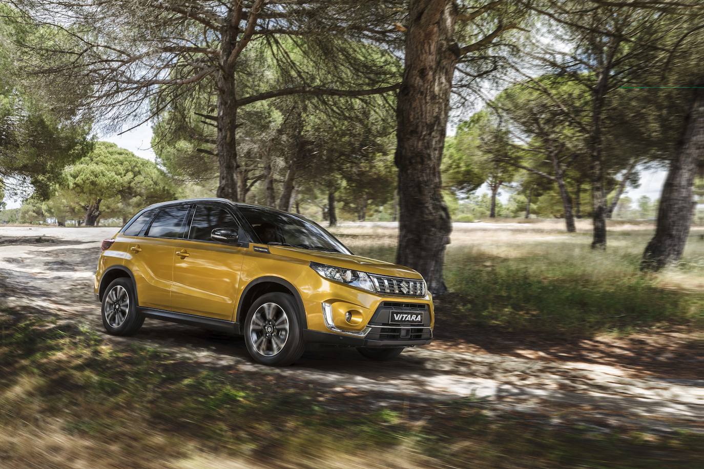 Fotos: Fotogalería: Suzuki Vitara 2020