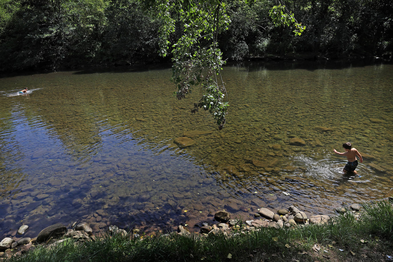 Los cauces y pozos son más que nunca un reclamo para los turistas estos días de calor, unos espacios que comparten con los vecinos. En estas imágenes, niños y mayores disfrutan en el río Saja, en el parque de Santa Lucía de Cabezón de la Sal.