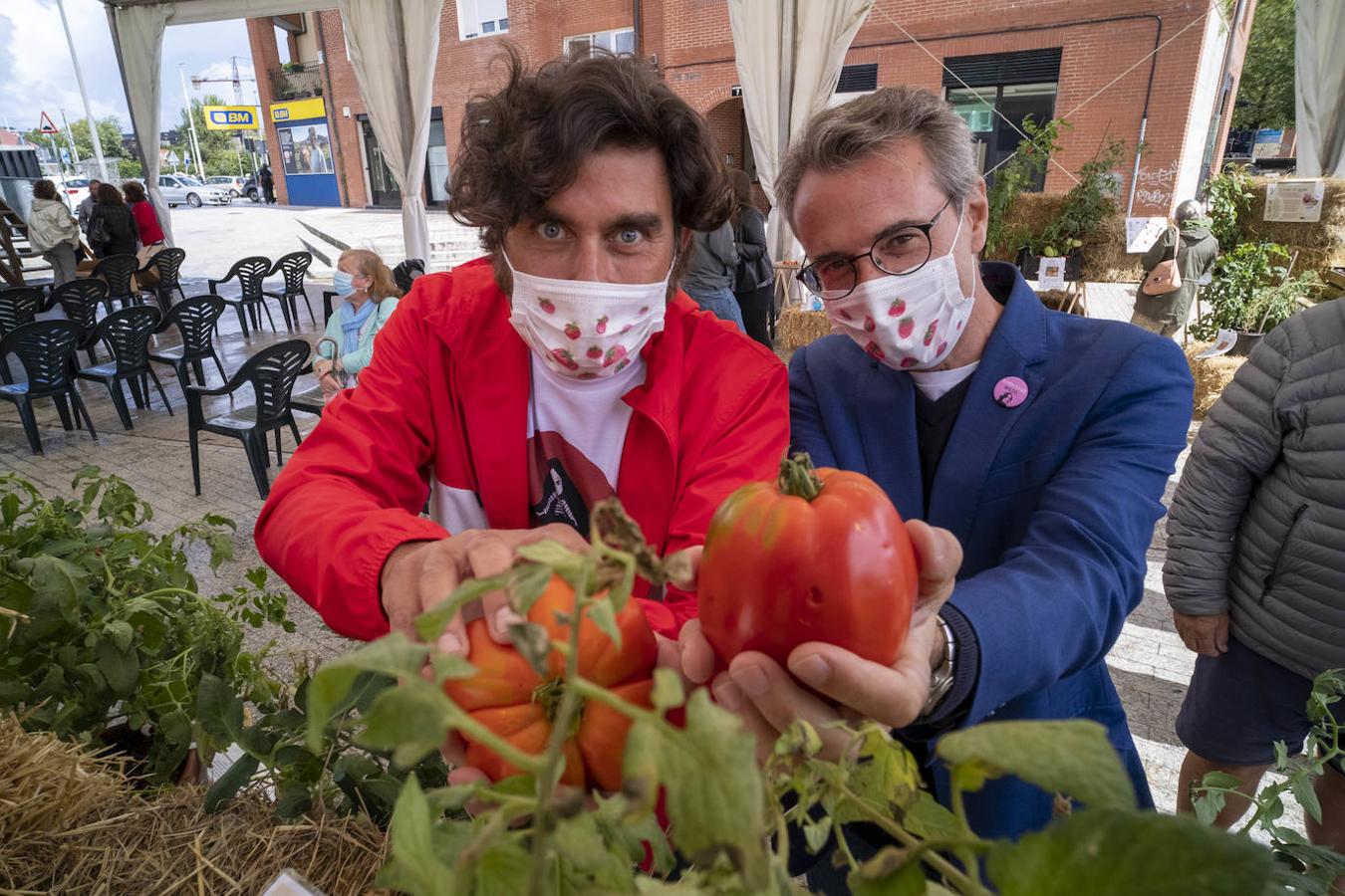 Bezana celebró, a pesar de la lluvia, la II Feria Nacional del Tomate Antiguo, que incluyó talleres, charlas y mercado ecológico de proximidad, entre otras actividades. Los periodistas David Remartínez y Pedro Vallín fueron nombrados 'Tomatero mayor'.