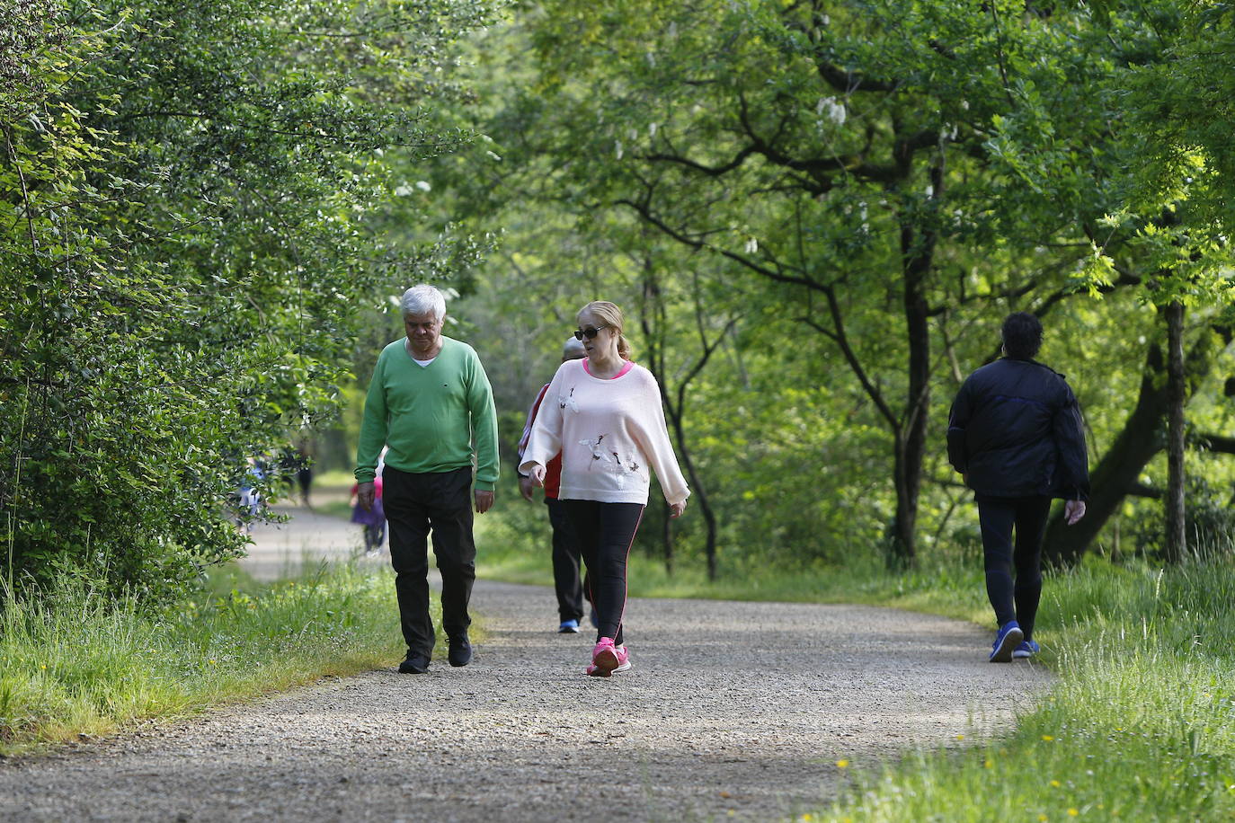 El parque de la Viesca se ha convertido en los últimos años en un área para el paseo y las actividades deportivas. 