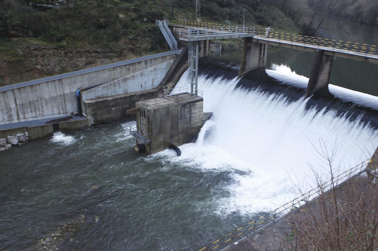 Los técnicos urgen desde hace varios años el dragado de la presa de Somahoz en el río Besaya. 