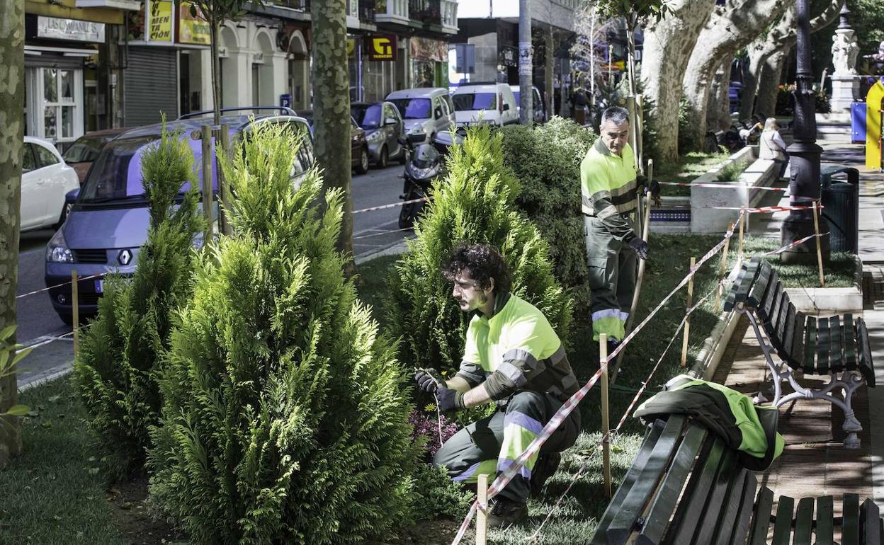 Imagen de archivo de operarios de Parques y Jardines 