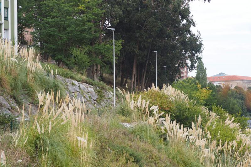 Fotos: La zona de arbustos próxima a la Peña del Cuervo donde ha aparecido el cuerpo de la mujer