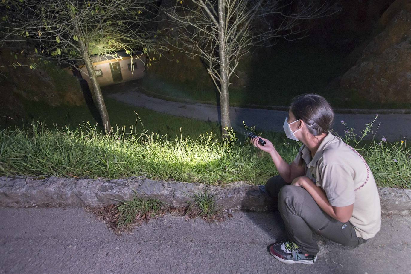 Imágenes de una visita nocturna al Parque de la Naturaleza de Cabárceno, una experiencia que se pone en marcha coincidiendo con el periodo en el que se producen la berrea y la ronca.