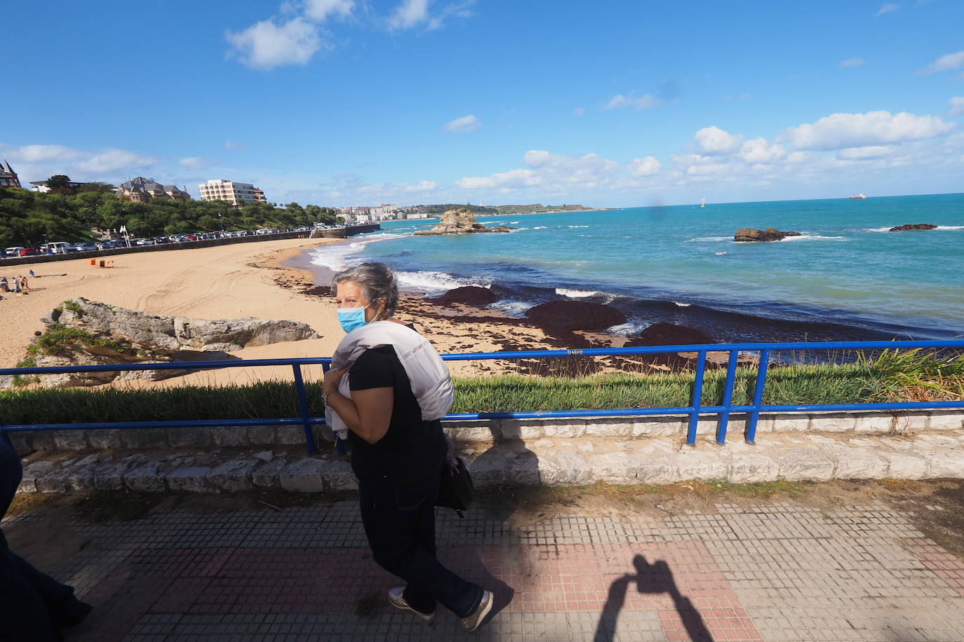 Muchas playas de Cantabria han amanecido este domingo con sus orillas teñidas del rojo de la caloca. La mala mar de estos días ha sacado estas algas del fondo marino, que han emergido formando montañas al borde del mar. Comienzan a verse cuadrillas extrayendo la caloca a paladas. Son los 'caloqueros', que, a la par que se ganan la vida secando y vendiendo estas algas, realizan una labor de limpieza de las playas. En estas imágenes, caloqueros trabajando en la Virgen del Mar y la playa de El Camello invadida de caloca.