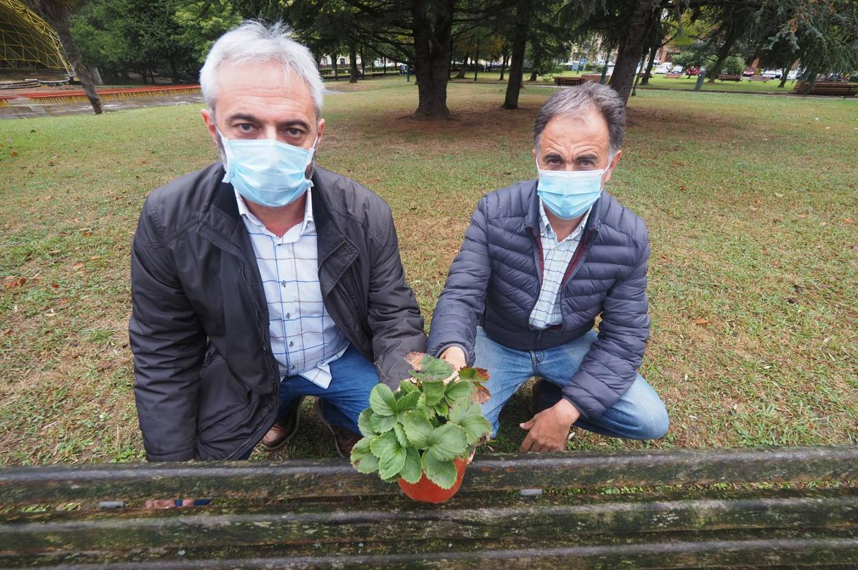 Mateo Rodríguez y Germán Castellano, del colectivo Torrearboleda, muestran una de las plantas que entregarán a los voluntarios.