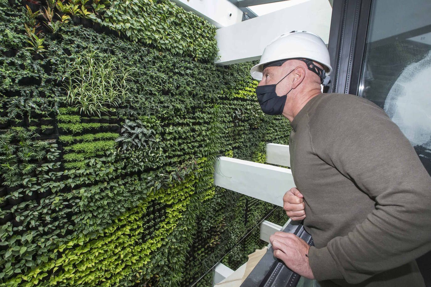 El centro cívico Castilla- Hermida acoge en una de sus paredes el mural vegetal más grande de Europa, con 558 metros cuadrados de superficie