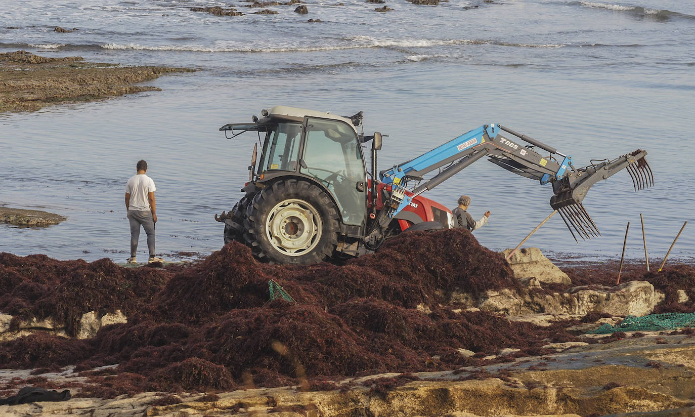 Los recolectores del 'oro rojo del mar' vuelven a enfrentarse, un año más, a unas condiciones de trabajo «que no vemos justamente recompensadas»