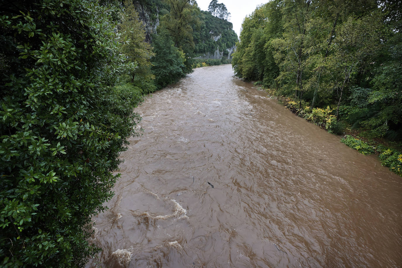 Río Saja a su paso por Carranceja