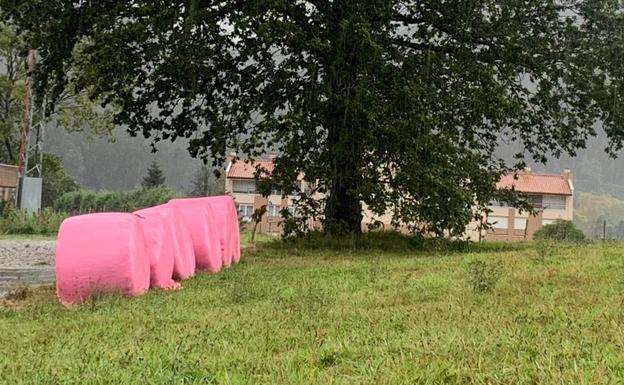 Los plásticos de las bolas de silo hacen daño al medio ambiente.