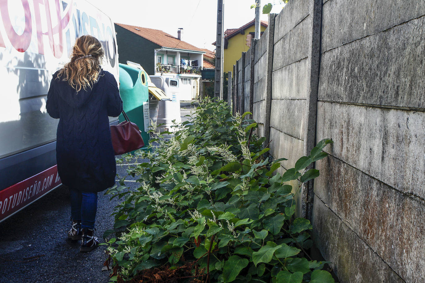 Las calles de Ganzo están invadidas por la suciedad y la maleza, denuncian los vecinos.