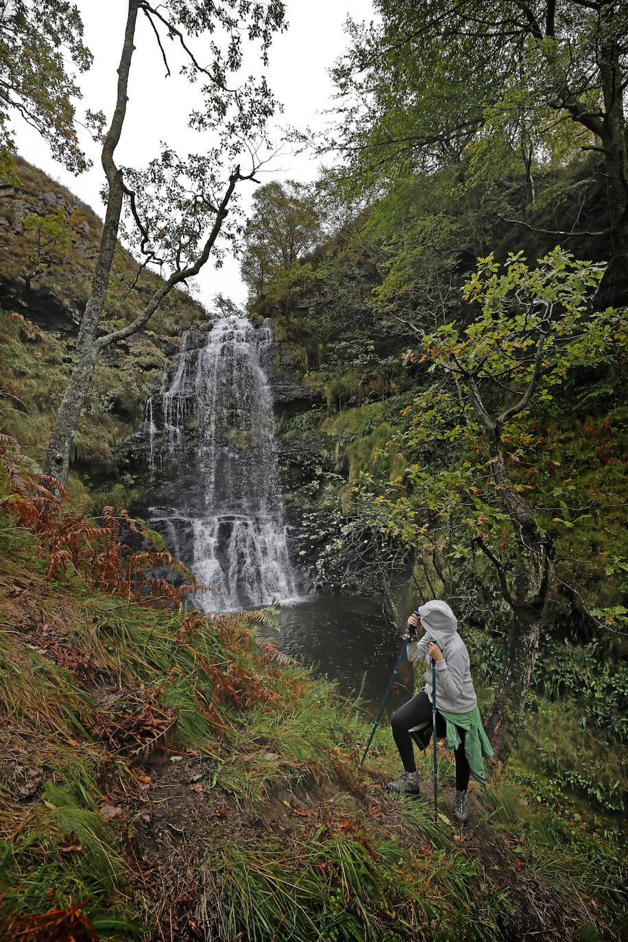 La Asociación de Desarrollo Rural Saja Nansa subvencionará un proyecto específico, a través del programa Leader, para acondicionar y señalizar la ruta de las cascadas de Viaña (Cabuérniga). Se unen a las cascadas de Lamiña (Ruente). Juntas componen un bello patrimonio natural que los dos ayuntamientos quieren potenciar.