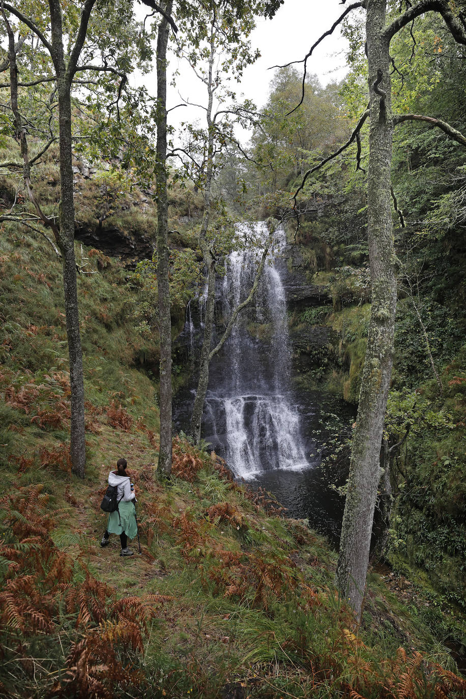 La Asociación de Desarrollo Rural Saja Nansa subvencionará un proyecto específico, a través del programa Leader, para acondicionar y señalizar la ruta de las cascadas de Viaña (Cabuérniga). Se unen a las cascadas de Lamiña (Ruente). Juntas componen un bello patrimonio natural que los dos ayuntamientos quieren potenciar.