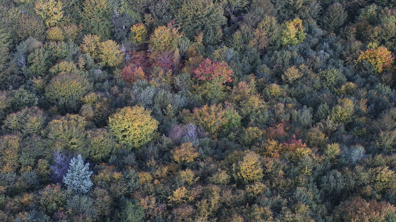 Fotos: Otoño, en los montes de Cantabria