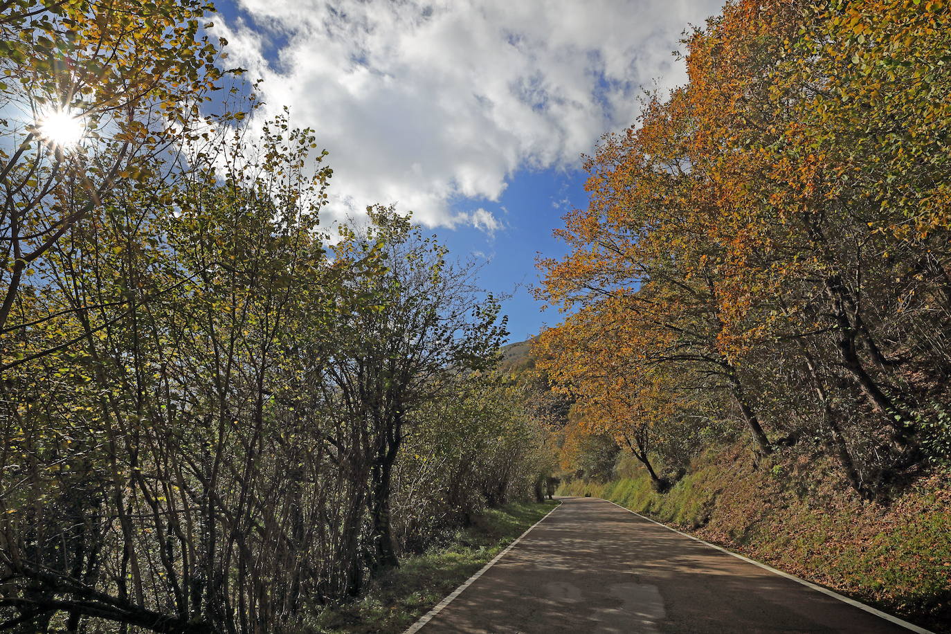 Fotos: Otoño, en los montes de Cantabria