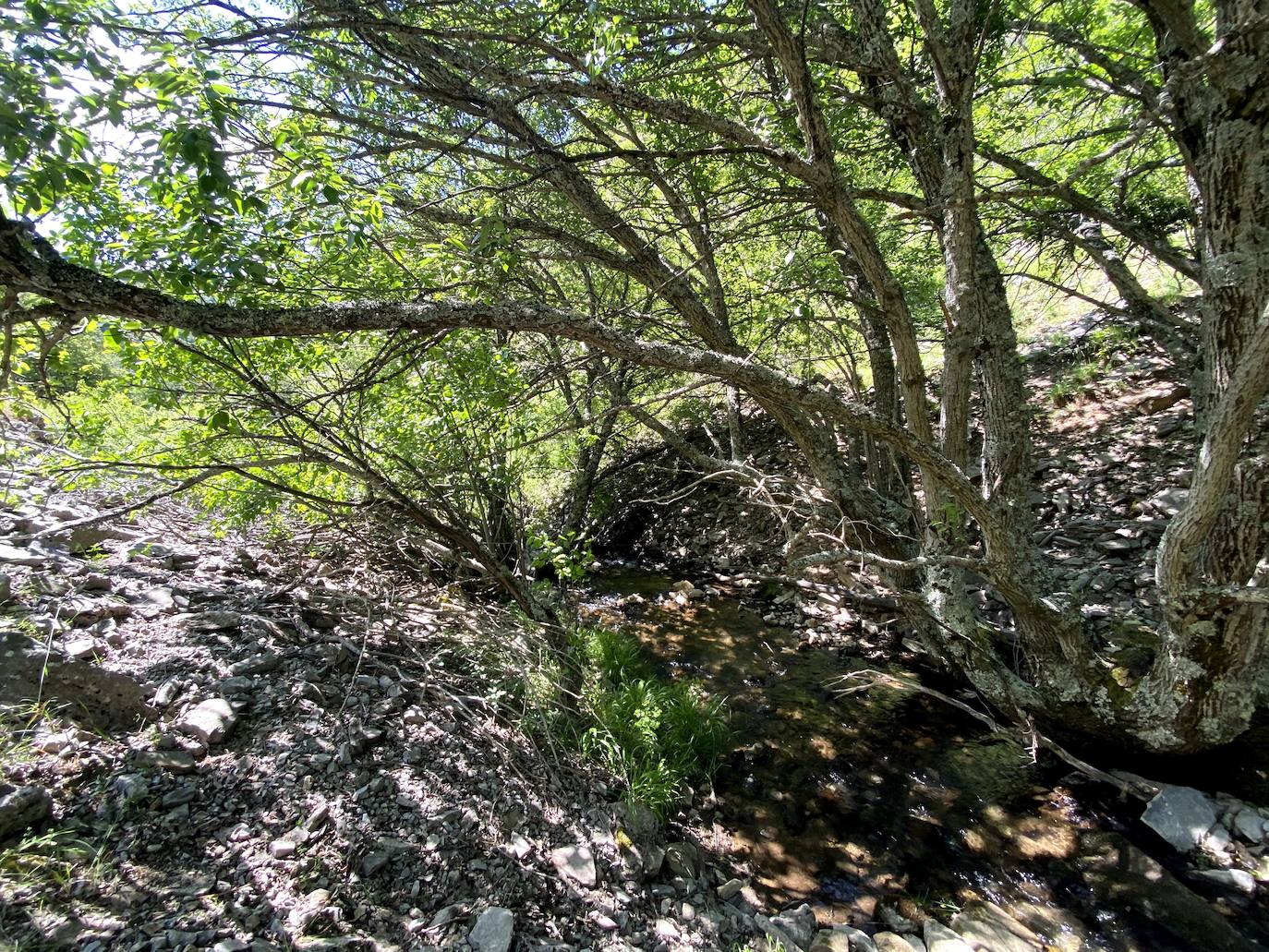 A escasos 50 kilómetros de la ciudad de León se puede disfrutar de una ruta de media montaña, apta para niños, donde ver espectaculares formaciones de roca caliza