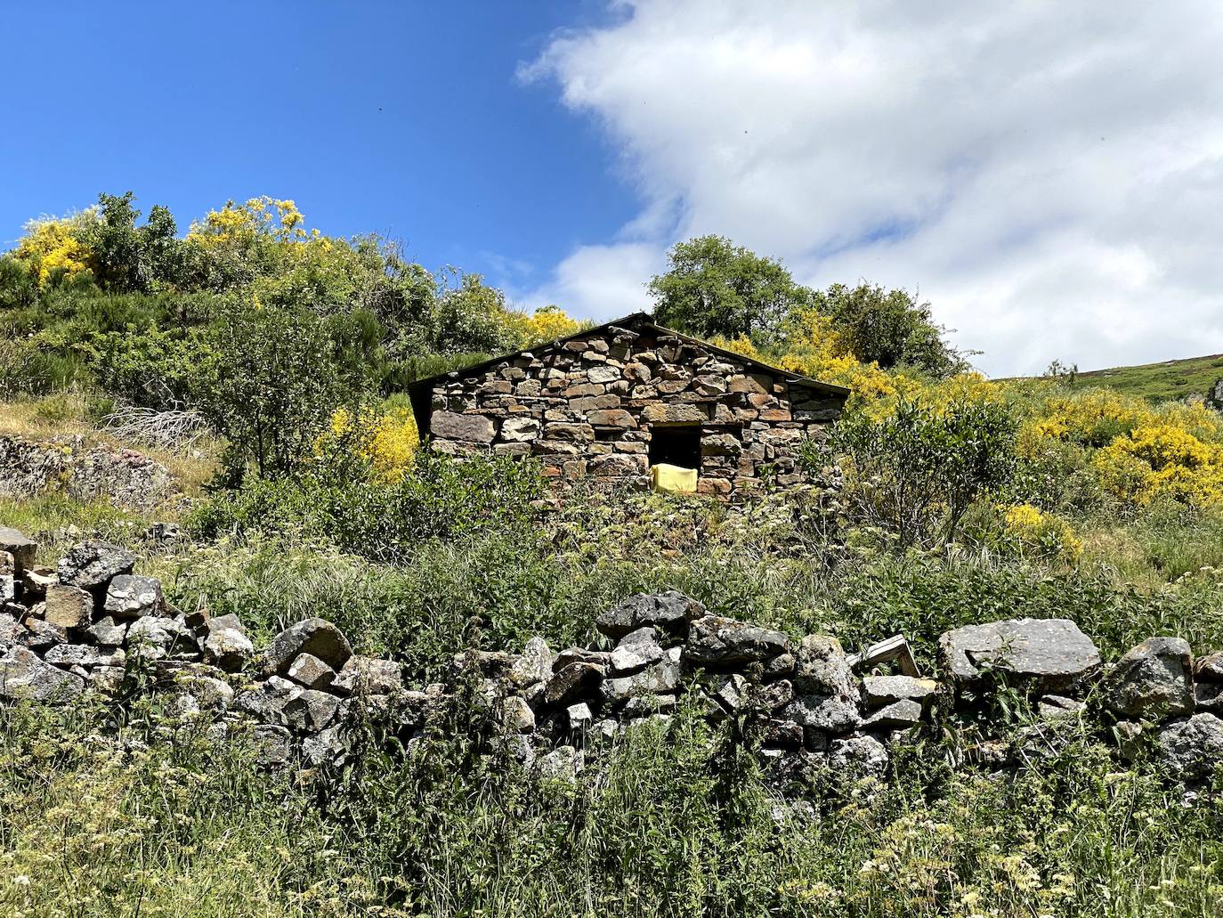 A escasos 50 kilómetros de la ciudad de León se puede disfrutar de una ruta de media montaña, apta para niños, donde ver espectaculares formaciones de roca caliza