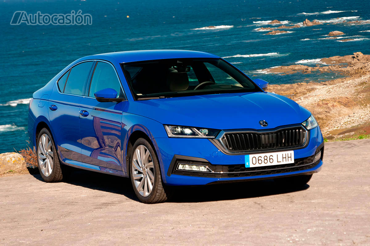 Fotos: Fotogalería: Skoda Octavia 1.5 TSi 2020