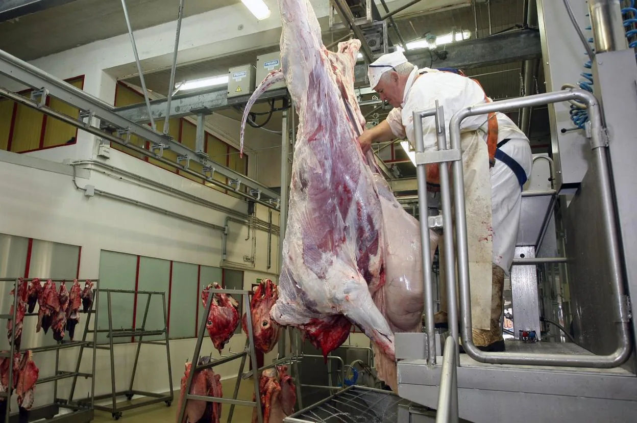 Un operario trabaja en la sala de despiece del matadero municipal de Barreda. 