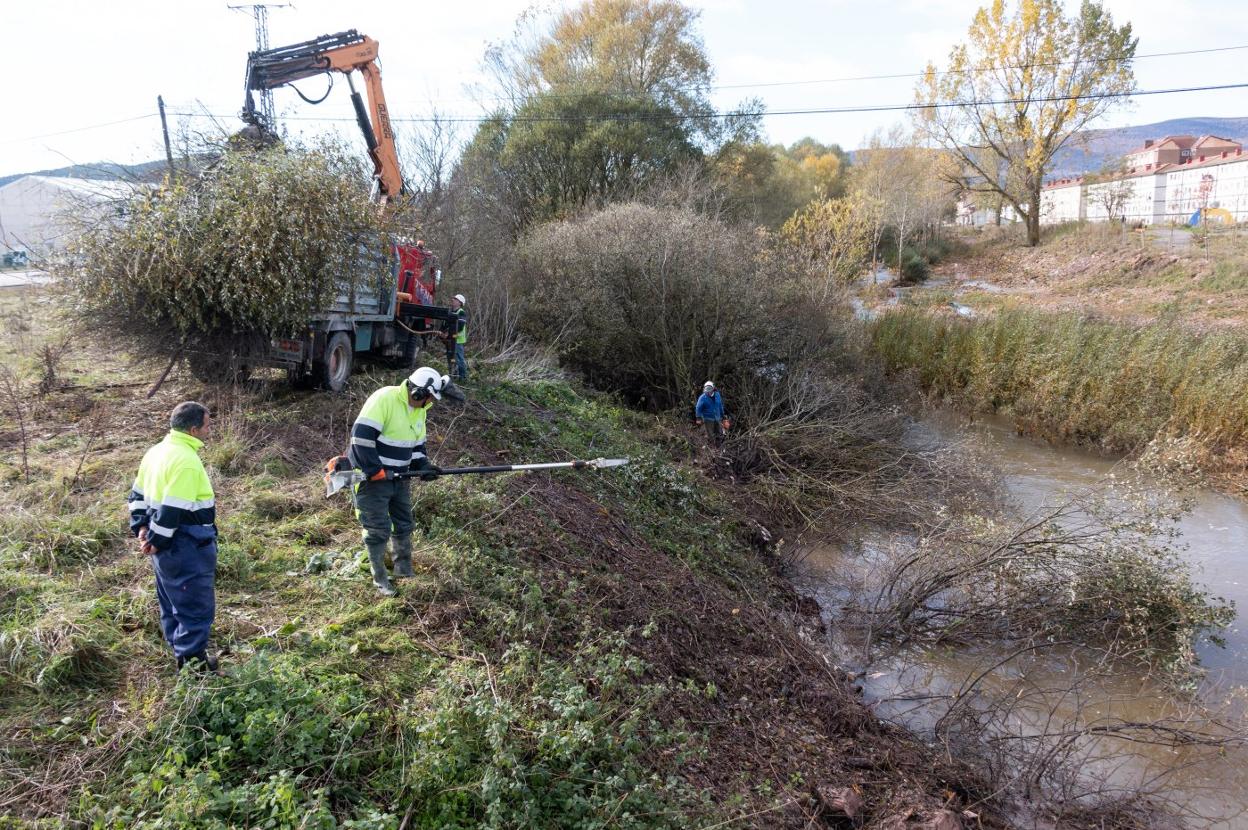 Obras Públicas inició ayer una nueva actuación de limpieza del cauce del Híjar a su paso por Reinosa. E. Sardina