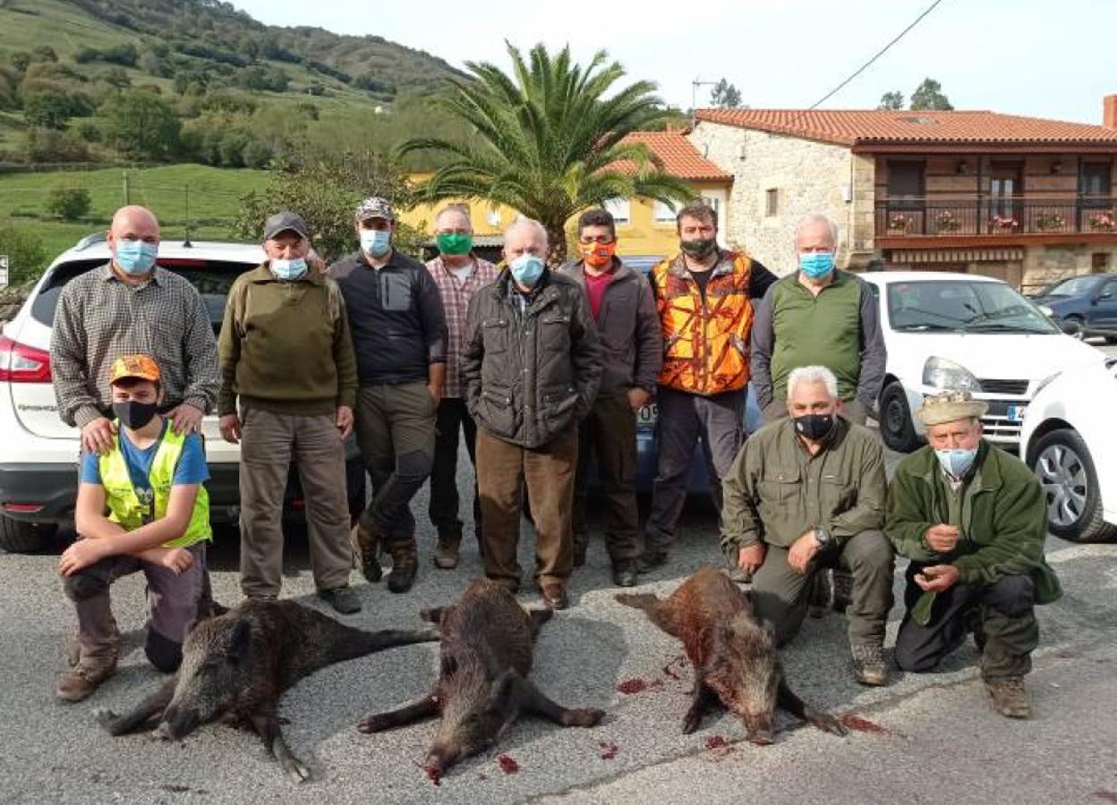 Miembros de la cuadrilla del corraliego Romanín Varela, con tres jabalíes cazados en El Tornillo. 