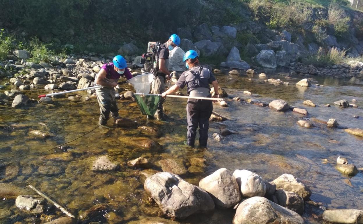 Pesca eléctrica en el río Los Llares 