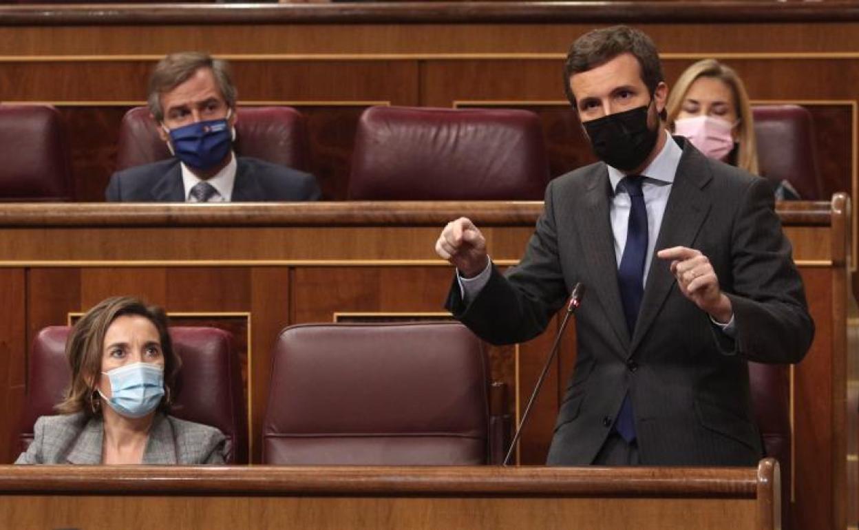 El líder del PP, Pablo Casado, interviene en una sesión de control al Gobierno.