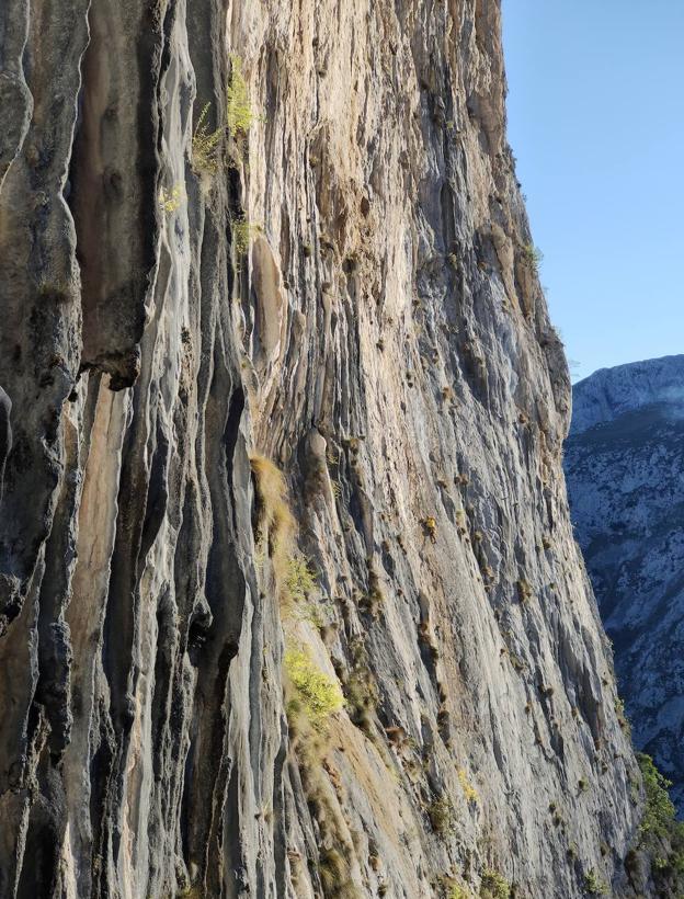 Fotos: Los hermanos Pou y Kico Cerdá abren &#039;Víbora&#039; en Picos de Europa