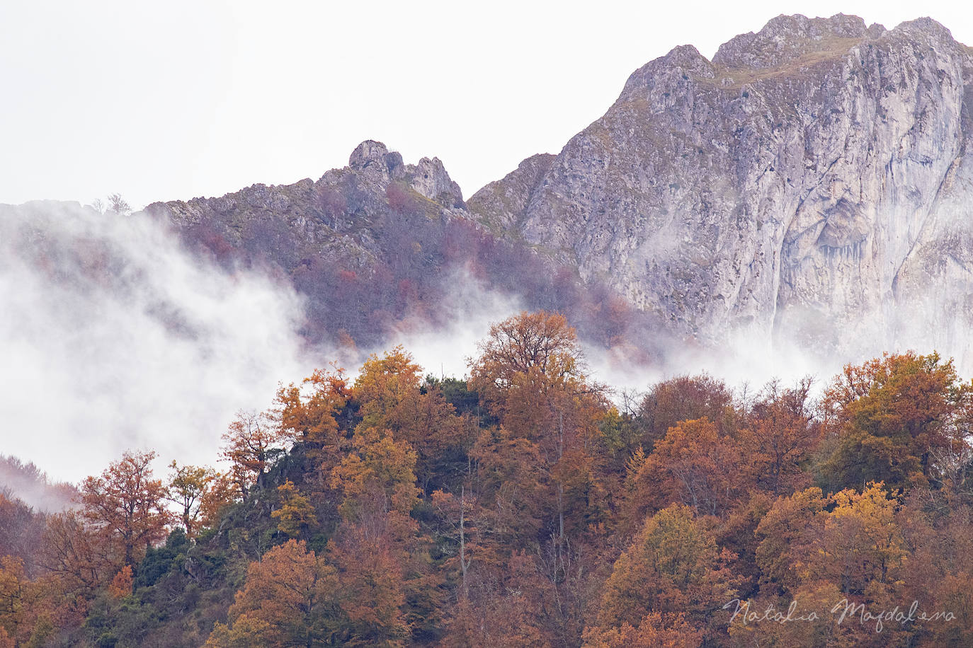 El ‘tardíu’ (otoño cántabro) es la estación de transición entre el fulgor veraniego, con días de luz duradera y nuevas vidas, y el sosiego del invierno, con jornadas más cortas y temperaturas frías. Esta estación da el toque de queda al desenfreno y prepara a los habitantes para meses más solitarios y exigentes. 