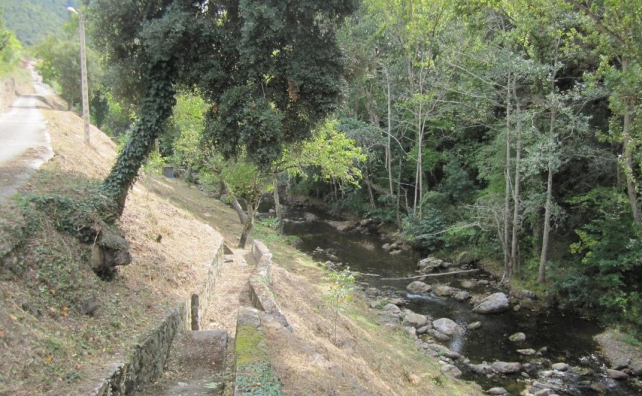 Desbroce y limpieza de un espacio del municipio junto a la orilla del río 