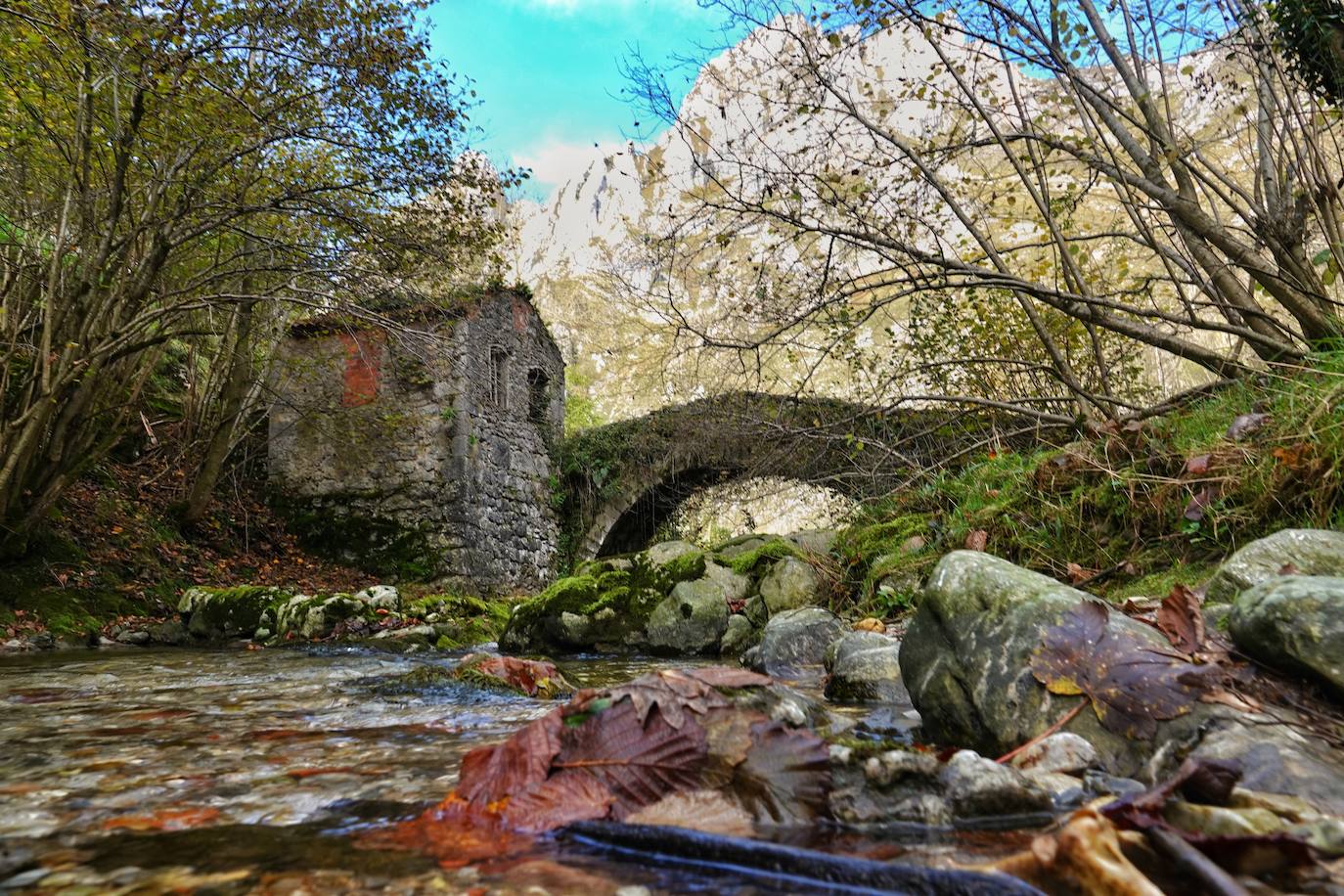 Los colores del otoño, e incluso el blanco de la nieve, ya han teñido algunos de los rincones de los Picos de Europa, uno de los lugares más imponentes enclavados entre Cantabria, Asturias y León. En este espacio encontraremos las cumbres más altas de la Cordillera Cantábrica como la más emblemática: el Picu Urriellu o Naranjo de Bulnes con sus 2.519 metros de altitud. Un total de 67.127 hectáreas que conforman una de las mejores reservas mundiales de los ecosistemas ligados al bosque atlántico.