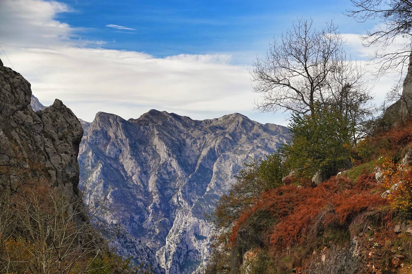 Los colores del otoño, e incluso el blanco de la nieve, ya han teñido algunos de los rincones de los Picos de Europa, uno de los lugares más imponentes enclavados entre Cantabria, Asturias y León. En este espacio encontraremos las cumbres más altas de la Cordillera Cantábrica como la más emblemática: el Picu Urriellu o Naranjo de Bulnes con sus 2.519 metros de altitud. Un total de 67.127 hectáreas que conforman una de las mejores reservas mundiales de los ecosistemas ligados al bosque atlántico.