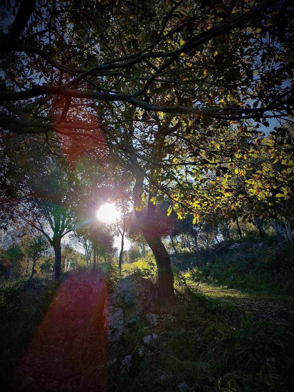 Fotos: Un paseo por Peñas Negras