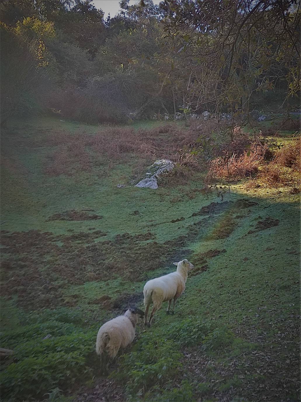 Fotos: Un paseo por Peñas Negras