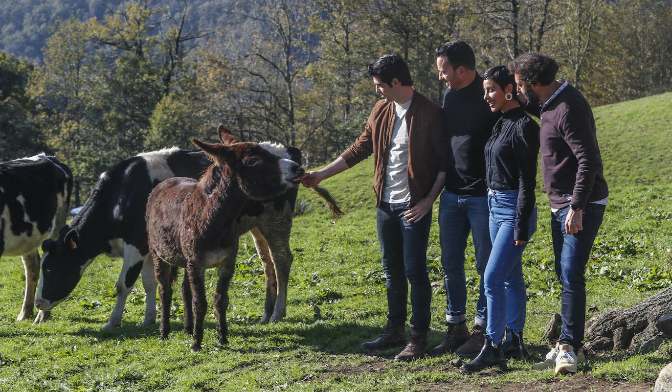 'Dos vacas y una burra', la película que vuelve a unir, después de 20 años, a Miguel Ángel Muñoz y Pablo Puyol, comienza a rodarse en pueblos de Cantabria.