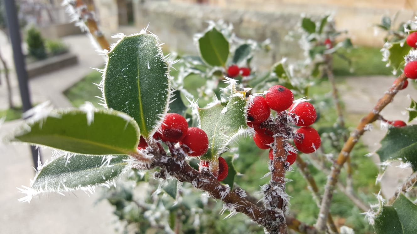 Fotos: Así de bonita se pone Valderredible cuando bajan las temperaturas