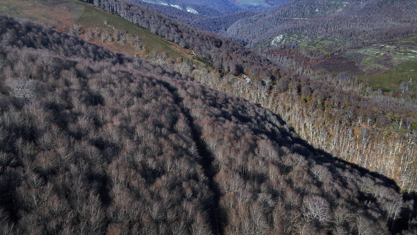 Con una extensión de cerca de 25.000 hectáreas, el Parque Natural del Saja-Besaya es el más extenso de Cantabria. El recorrido es un lujo para los sentidos, más aún en esta época del año que las de masas de hayas y robles están en pleno cambio de color. El recorrido es un lujo para los sentidos, más aún en otoño y ya ha venido algún temporal que proporcione agua a los ríos y arroyos. En gran parte del recorrido se escucha la música del río Argoza 