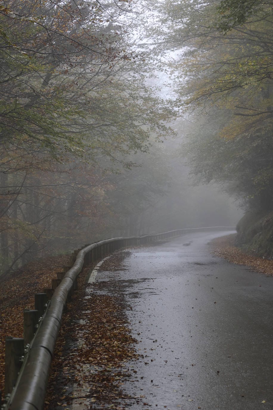 Con una extensión de cerca de 25.000 hectáreas, el Parque Natural del Saja-Besaya es el más extenso de Cantabria. El recorrido es un lujo para los sentidos, más aún en esta época del año que las de masas de hayas y robles están en pleno cambio de color. El recorrido es un lujo para los sentidos, más aún en otoño y ya ha venido algún temporal que proporcione agua a los ríos y arroyos. En gran parte del recorrido se escucha la música del río Argoza 